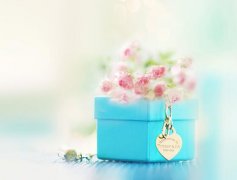打造狼性销售团队口号(精选