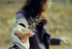 母校祝福语(精选36句)
