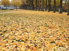 佛教修行经典语句(精选32句)