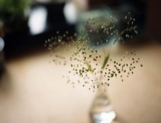 属相犯月顺口溜(精选21句)