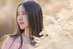 诚实守信的优美句子(精选27句