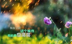 春节不打烊说说(精选29句)