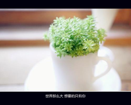 以家人之名有感情戏吗(精选20句)