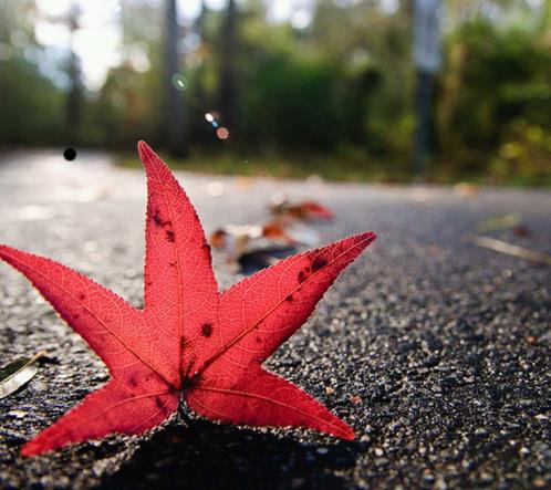 正能量短语 2023年正能量晚安语录