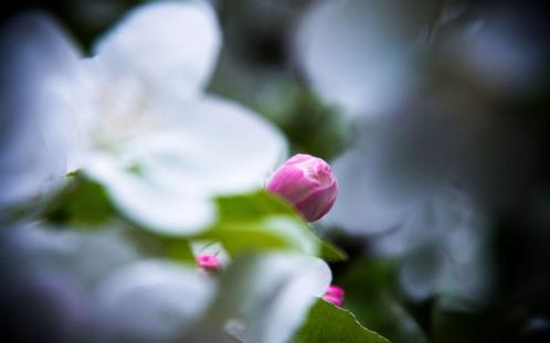 形容郑州的优美句子 暴雨加油句子 河南暴雨正能(精选23句)