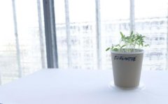 安慰闺蜜心情不好的话(精选