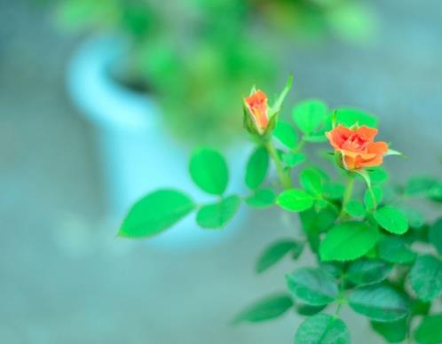 六一儿童节对女儿的祝福 (精选14句)