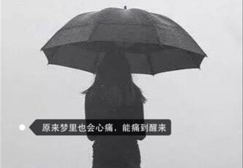 五句关于路的名言警(精选26句)