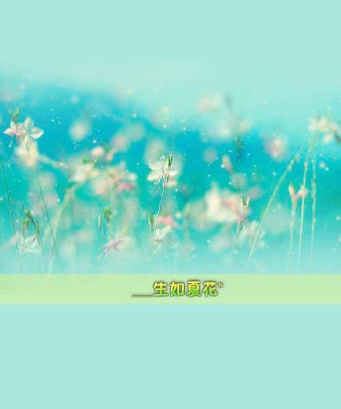 个性网个性签名今日最新(精选33句)