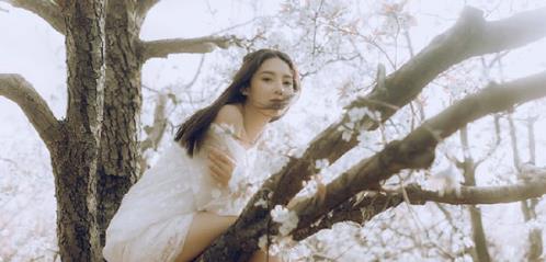 唯美的结婚祝福语 祝贺新婚的话有哪些(精选33句)