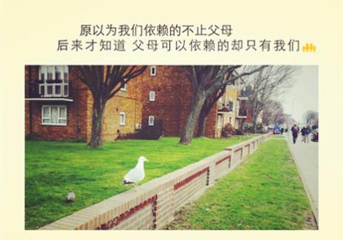 qq个性签名伤感男 qq男生伤感签名(精选33句)