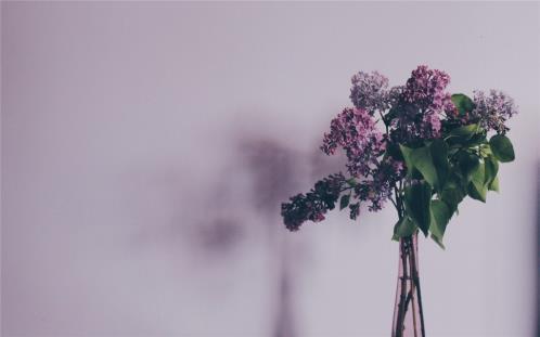 最新的侄女结婚祝福语(精选37句)