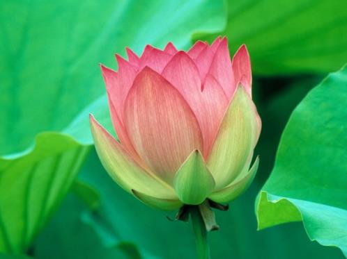 送给顾客的祝福语简短 给客户的幽默祝福短信(精选23句)