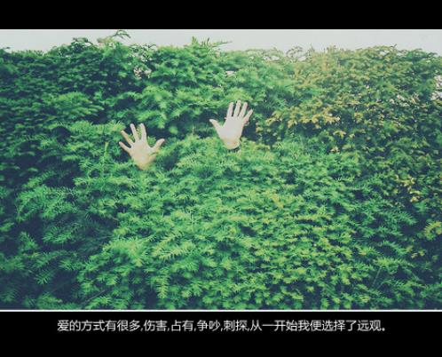 学生怎么感谢老师的语(精选14句)
