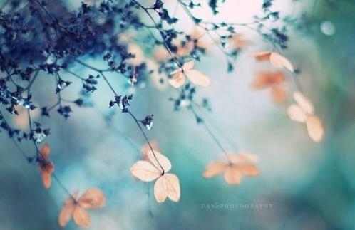 研究生导师教师节祝福语 (精选13句)