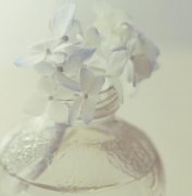 给生小孩的祝福语：老友我特