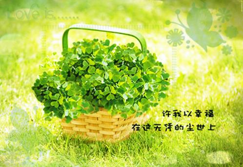一个人伤感独自忧伤的说说(精选29句)