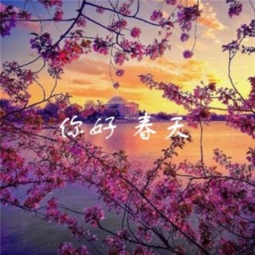 适合过生日发的说说(精选18句)