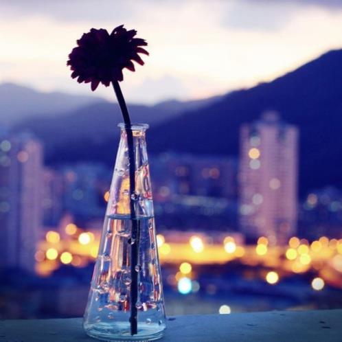 婚后的生活感悟说说 (精选29句)