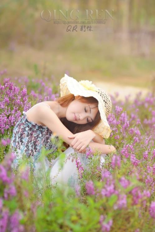 描写玫瑰花样子的句子 描写红玫瑰的优美句子(精选11句)
