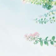 领导给员工的生日祝福(精选