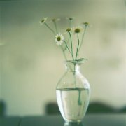 描写春天晴天的句子：那东方