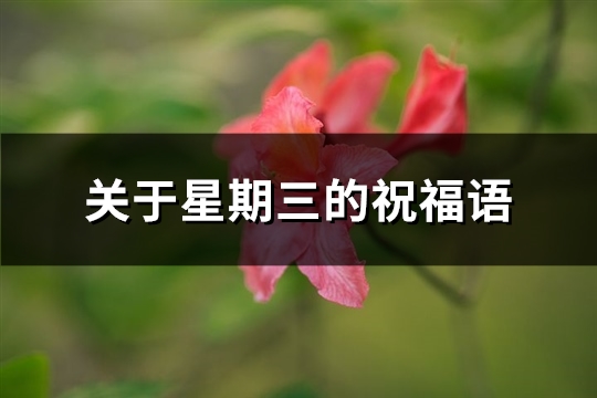 关于星期三的祝福语(精选47句)