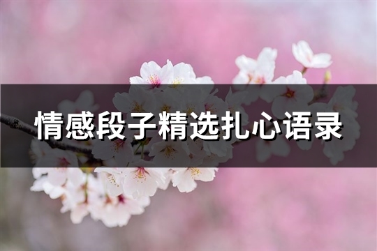 情感段子精选扎心语录(精选51句)