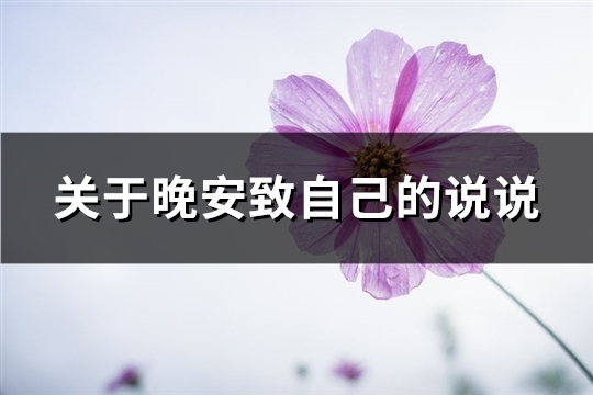 关于晚安致自己的说说(精选48句)