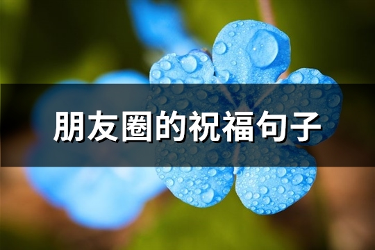 朋友圈的祝福句子(精选49句)