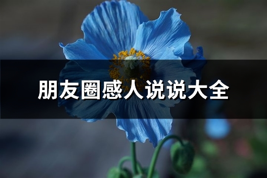 朋友圈感人说说大全(精选50句)