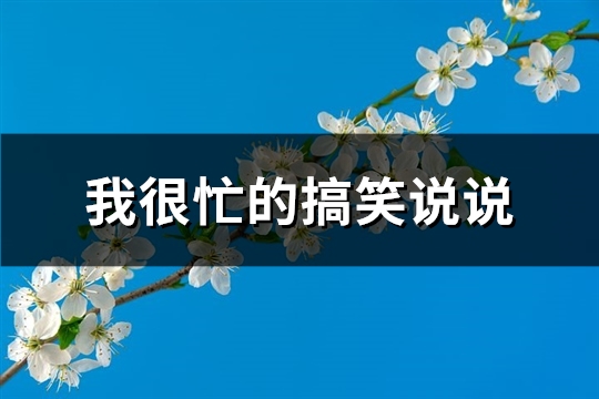 我很忙的搞笑说说(精选69句)