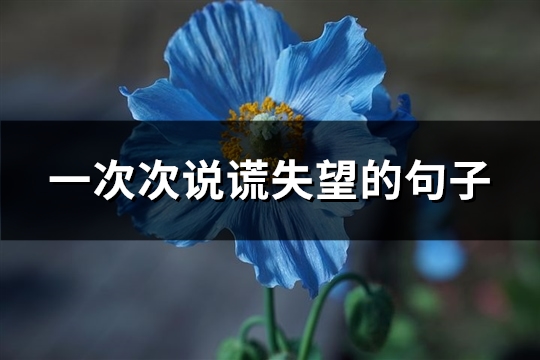 一次次说谎失望的句子(精选38句)