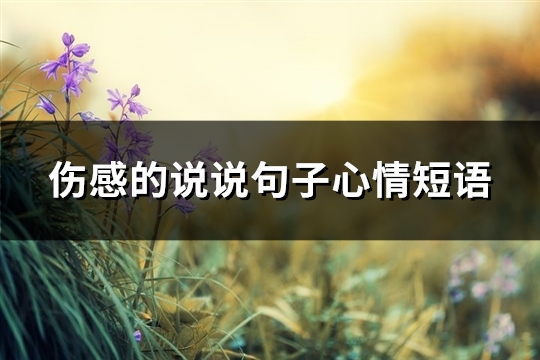 伤感的说说句子心情短语(精选33句)