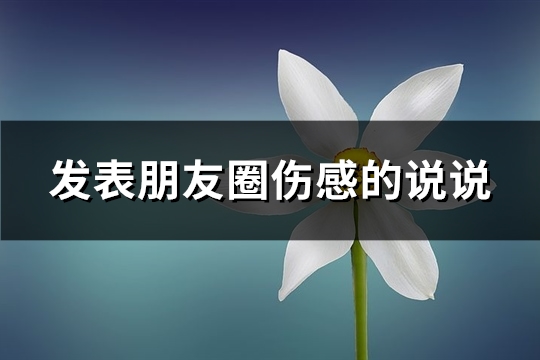 发表朋友圈伤感的说说(精选51句)