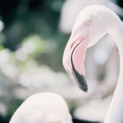 每日一句励志赠言(精选30句)