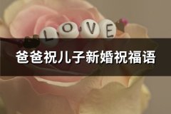 爸爸祝儿子新婚祝福语(精选