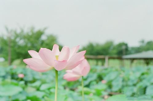 失眠幽默句子说说心情(精选35句)