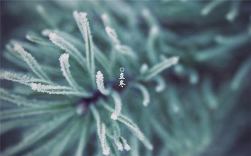 高二排比句：我撑起属于我的天空…(精选12句)