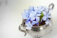 伤感句子朋友圈(精选36句)