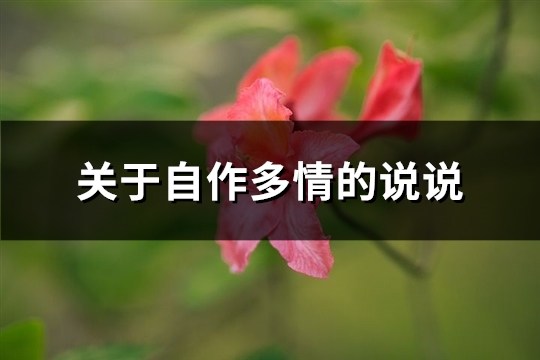 关于自作多情的说说(精选18句)