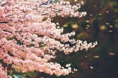 关于冬天的伤感短句(精选22句