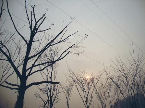 描写夕阳晚霞唯美句子 关于父亲节的图片(精选35句)