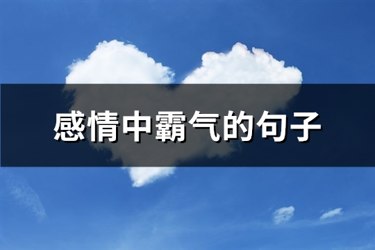 感情中霸气的句子(精选62句)