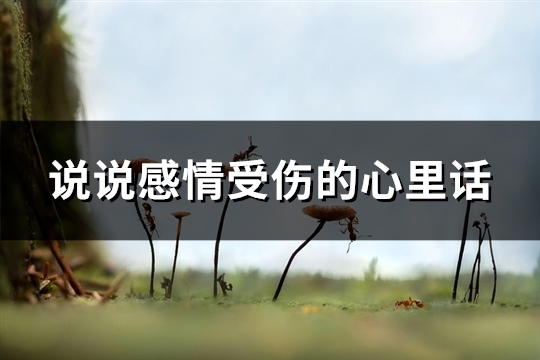 说说感情受伤的心里话(精选53句)