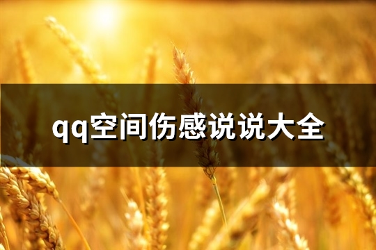 qq空间伤感说说大全(精选51句)
