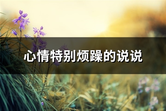 心情特别烦躁的说说(精选49句)