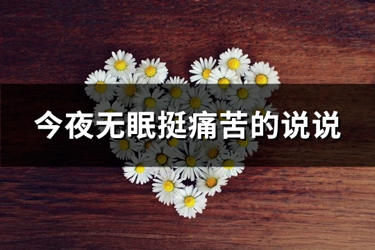 今夜无眠挺痛苦的说说(精选59句)
