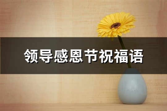 领导感恩节祝福语(精选72句)