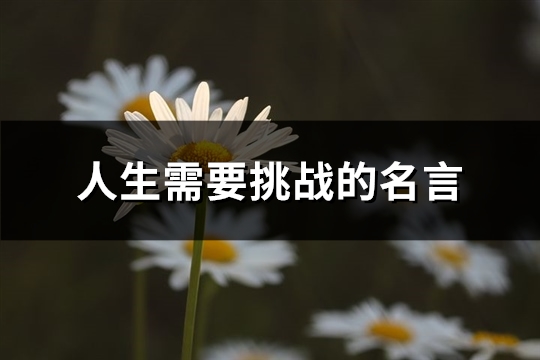 人生需要挑战的名言(精选53句)